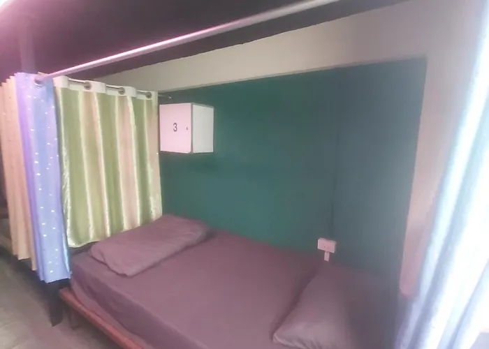 Hostel Roxx Social