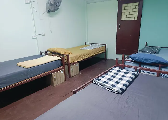Hostel Roxx Social